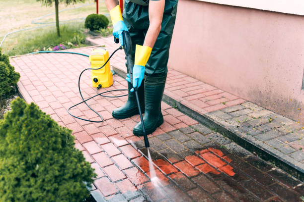 Best Roof Washing  in Forestdale, MA